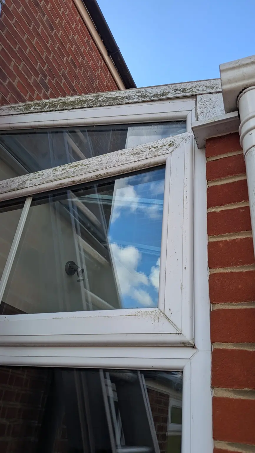 Green build-up on conservatory exterior frames before cleaning