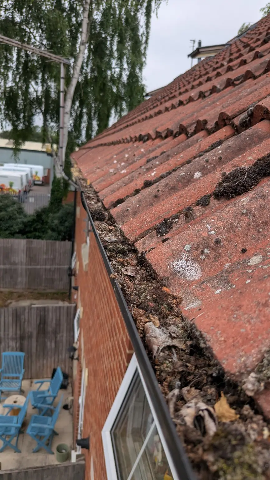 Gutter filled with leaves moss and roof debris before clearing