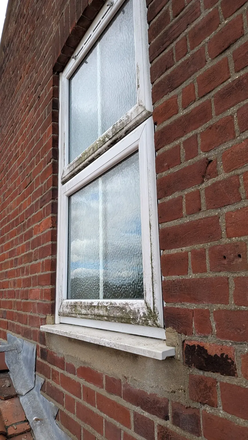 Residential window with green build-up around the frames before cleaning